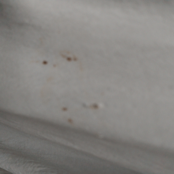 Flobert Vintage Long Sheer Pale Lime Green 50s/60s (?) Sleep Robe - Picture 10 of 12